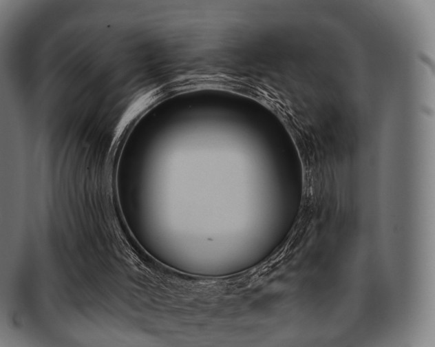 X0000091890004200709051352