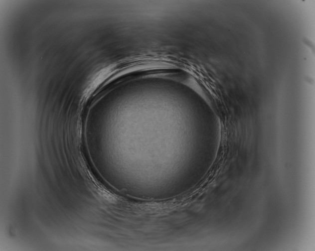 X0000091890005200709051352