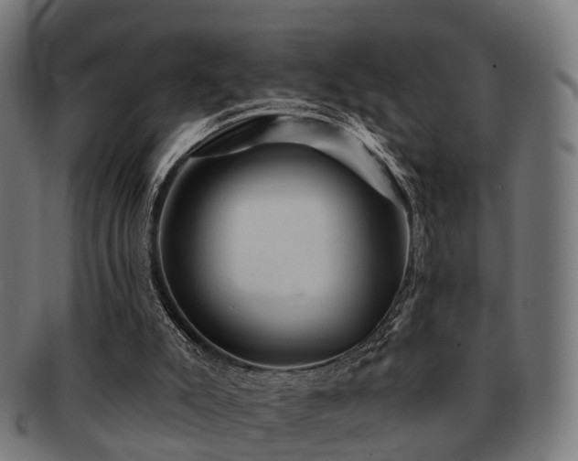 X0000091890007200709051352
