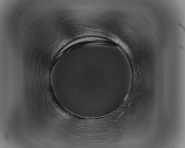 X0000091890009200709051352