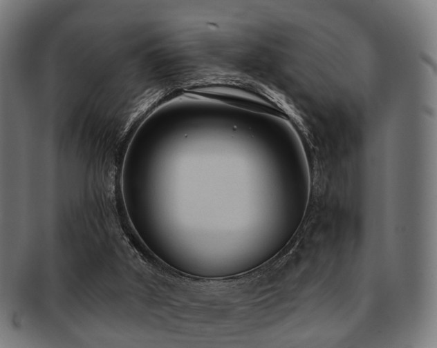 X0000091890010200709051352