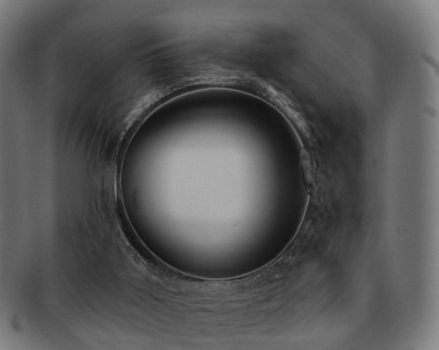 X0000091890011200709051352
