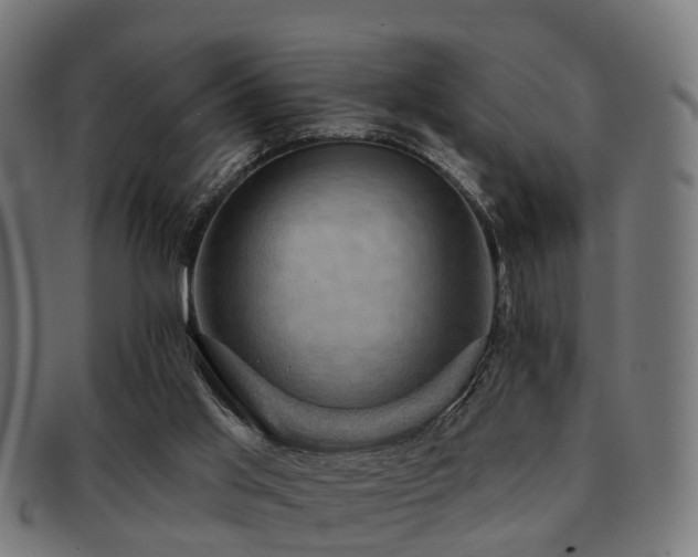 X0000091890013200709051352