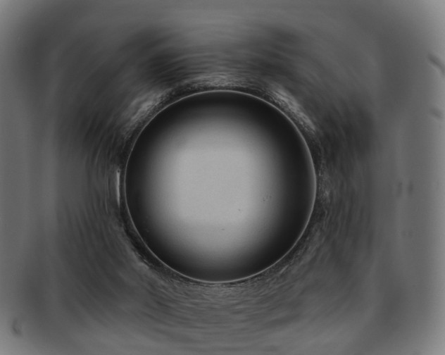 X0000091890014200709051352
