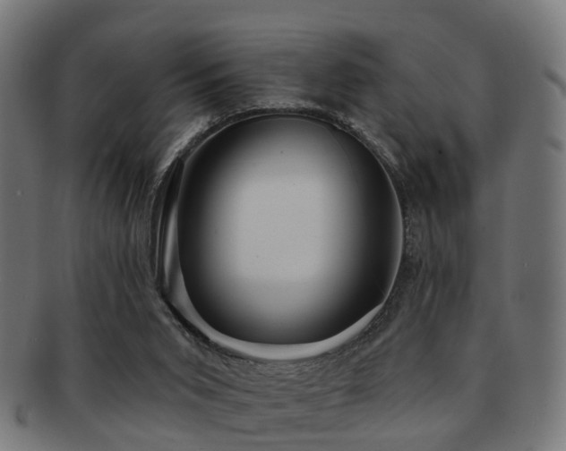X0000091890015200709051352