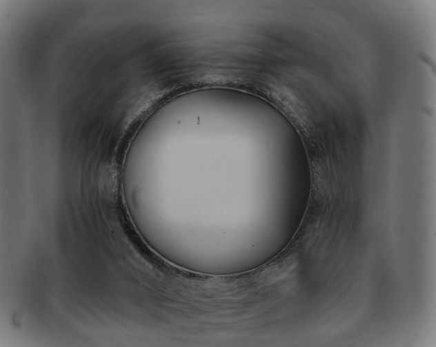X0000091890016200709051352