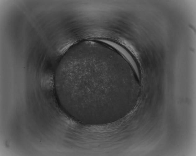 X0000091890017200709051352