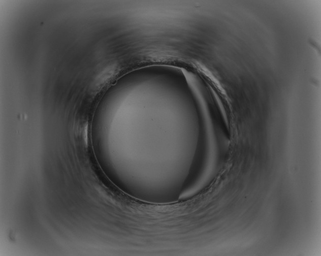 X0000091890019200709051352