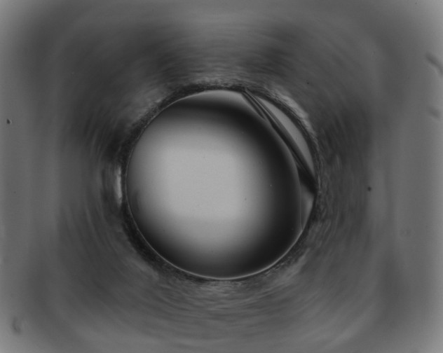 X0000091890020200709051352