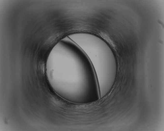 X0000091890021200709051352
