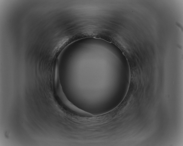 X0000091890023200709051352