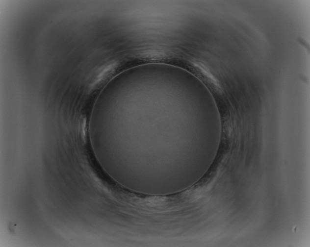 X0000091890024200709051352