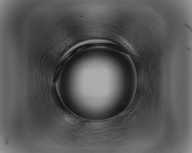 X0000091890025200709051352