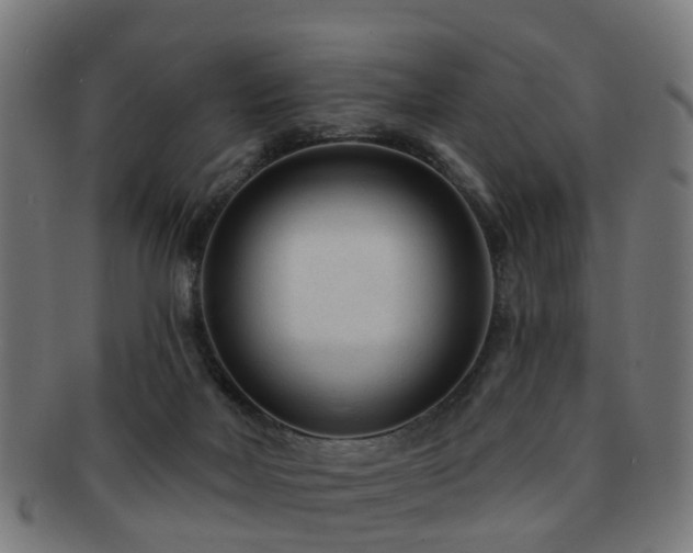 X0000091890026200709051352