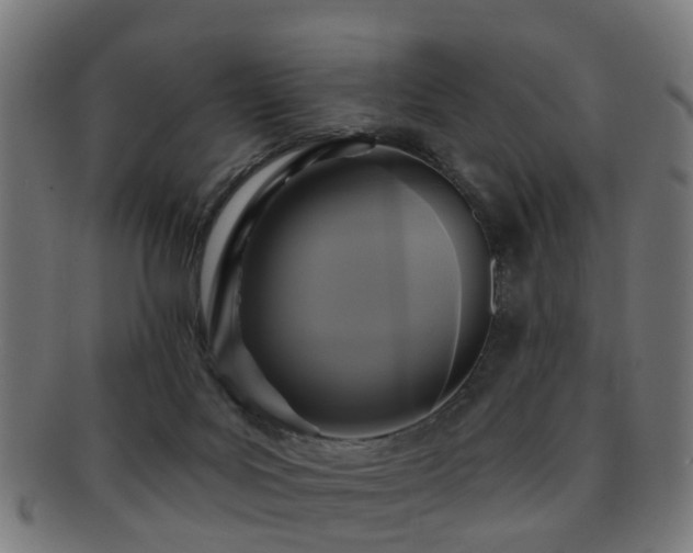 X0000091890027200709051352
