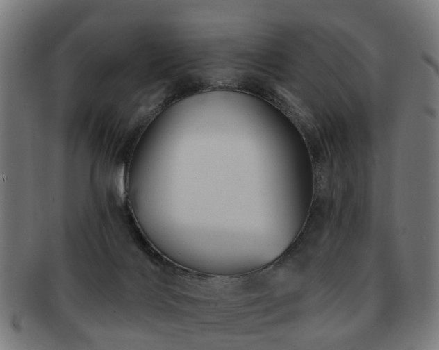 X0000091890028200709051352