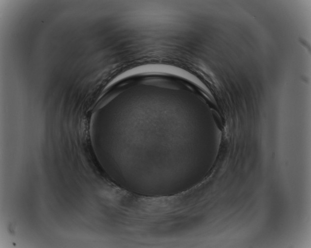 X0000091890029200709051352
