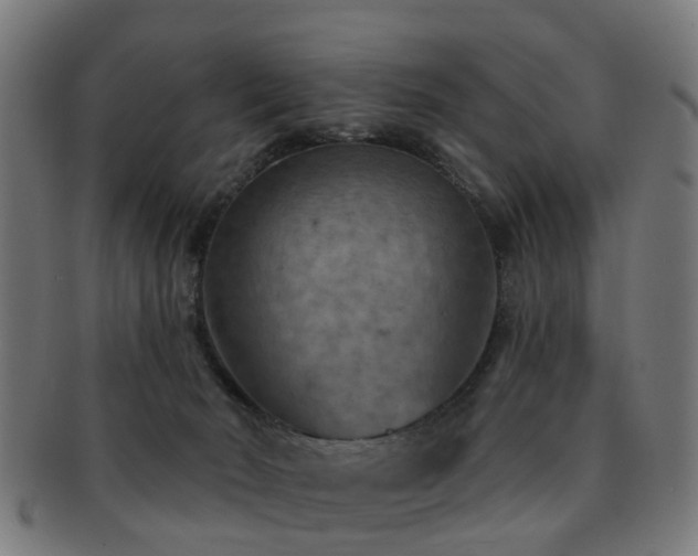 X0000091890030200709051352