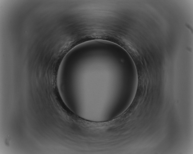 X0000091890031200709051352