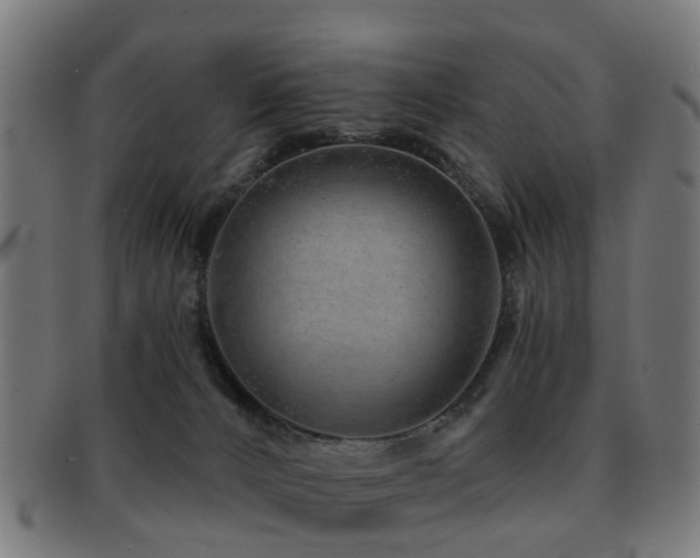 X0000091890032200709051352