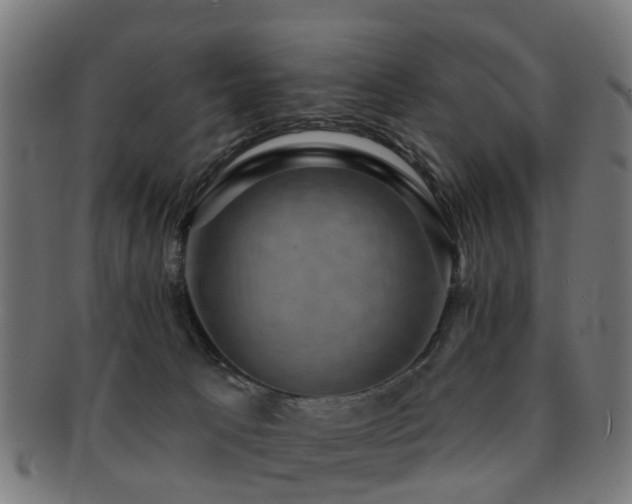 X0000091890033200709051352