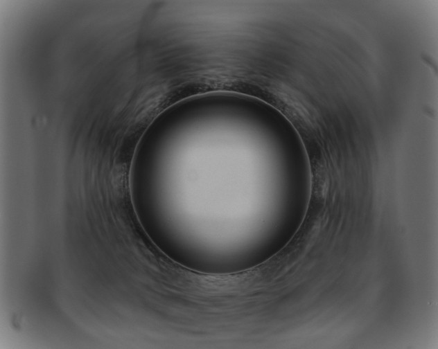 X0000091890034200709051352