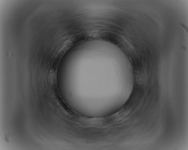X0000091890036200709051352