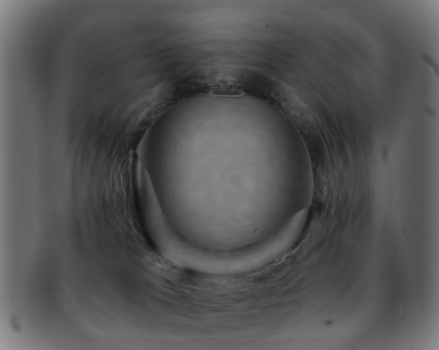 X0000091890037200709051352