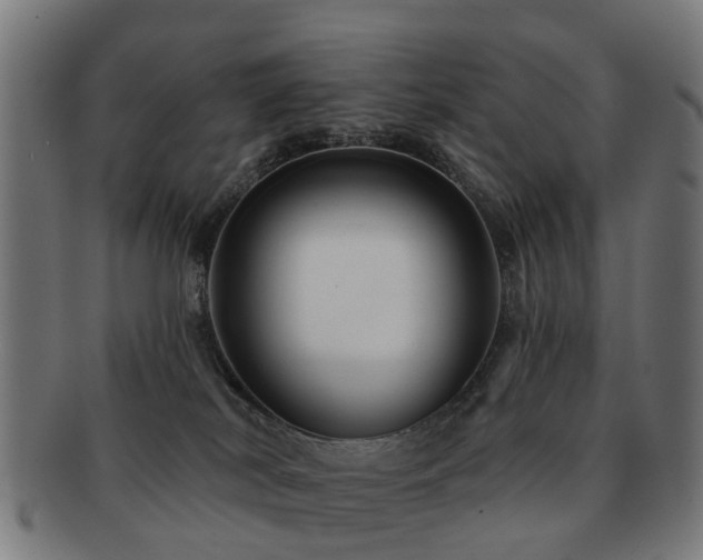 X0000091890038200709051352