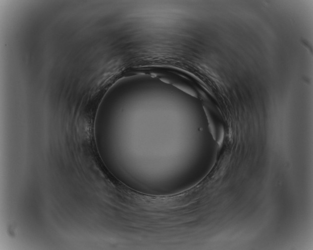 X0000091890039200709051352