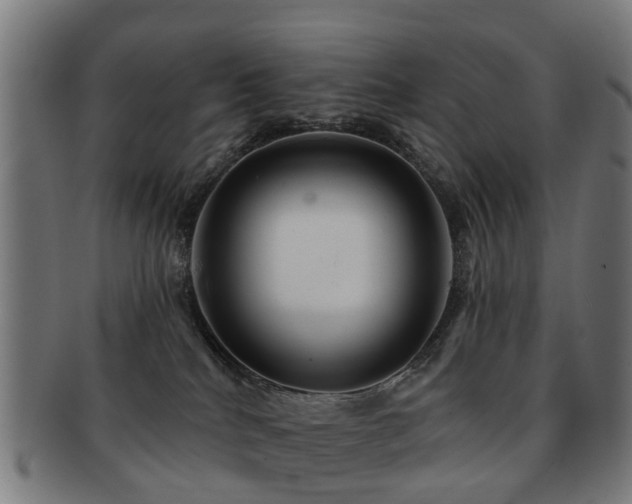 X0000091890040200709051352