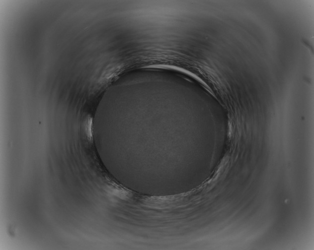 X0000091890041200709051352
