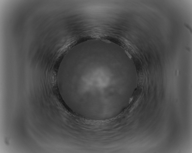 X0000091890043200709051352