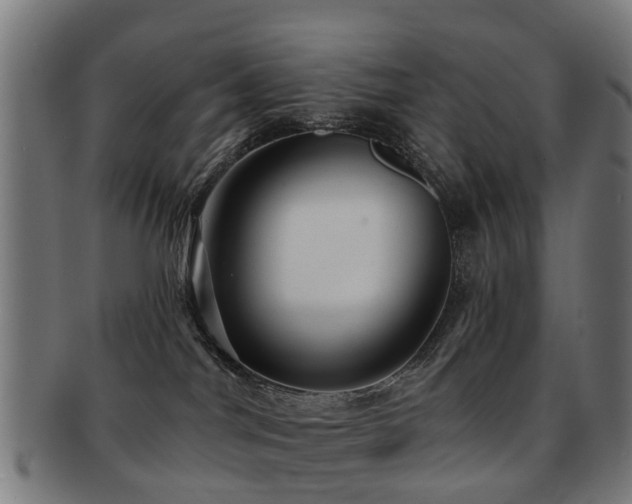 X0000091890044200709051352