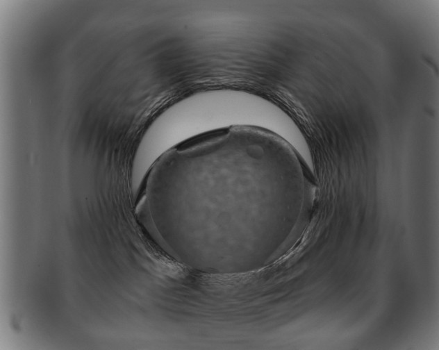 X0000091890045200709051352
