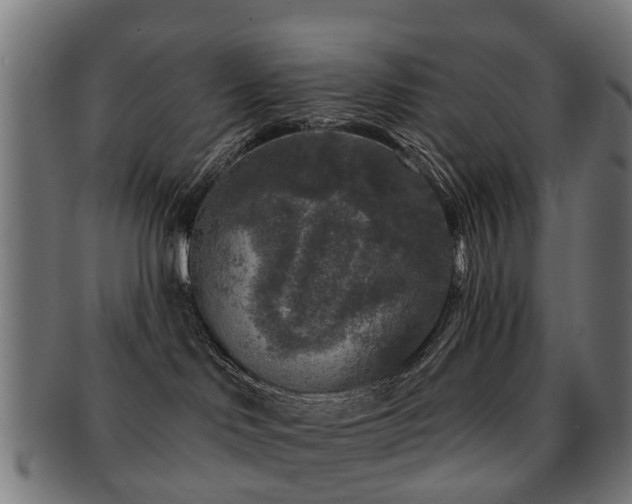 X0000091890046200709051352