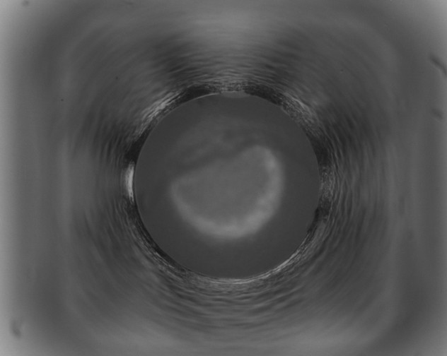 X0000091890047200709051352