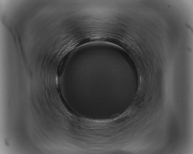 X0000091890048200709051352