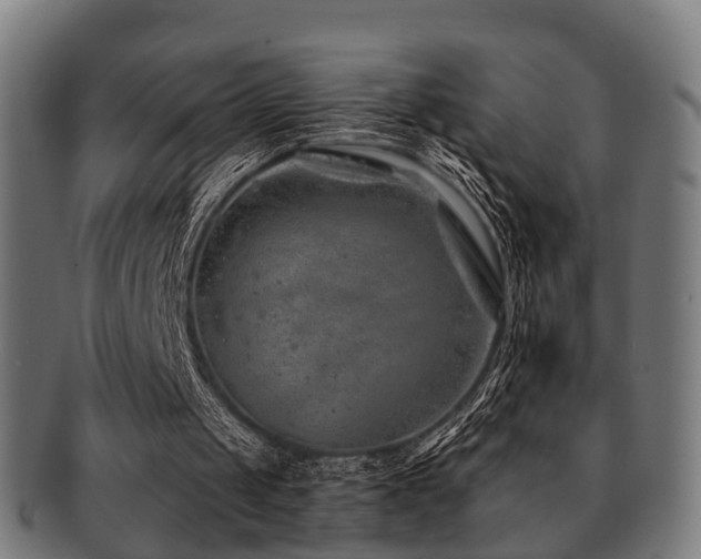 X0000091890049200709051351