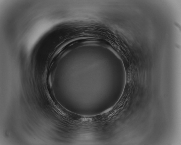 X0000091890052200709051351