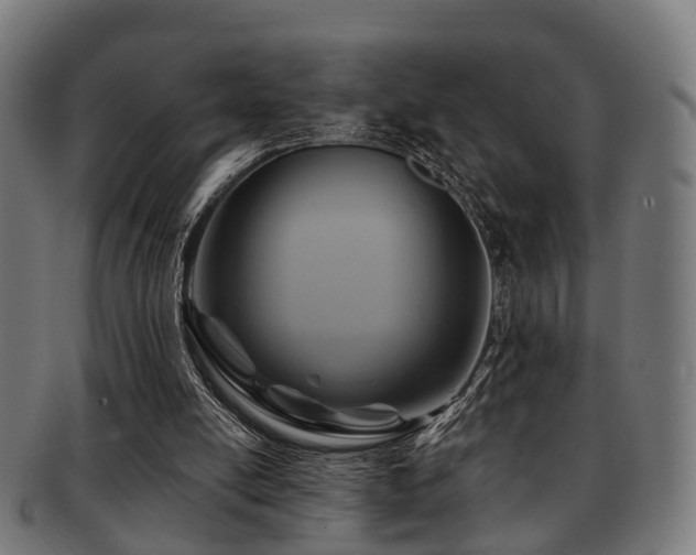 X0000091890054200709051351