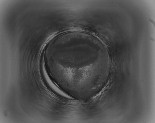 X0000091890055200709051351