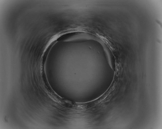 X0000091890056200709051351