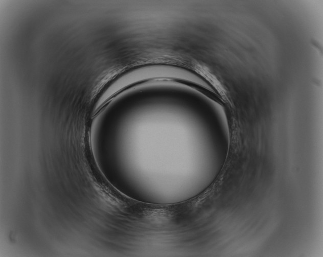X0000091890058200709051351