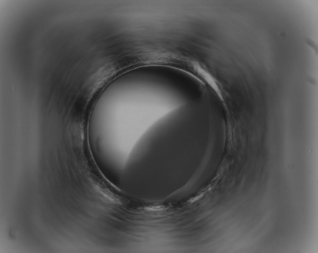X0000091890059200709051351