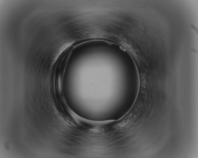 X0000091890060200709051351