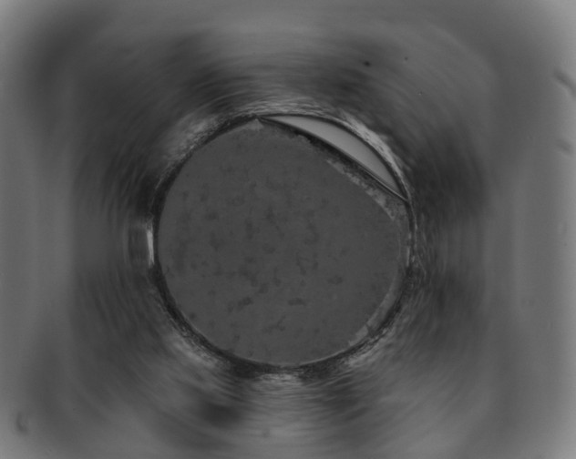 X0000091890061200709051351