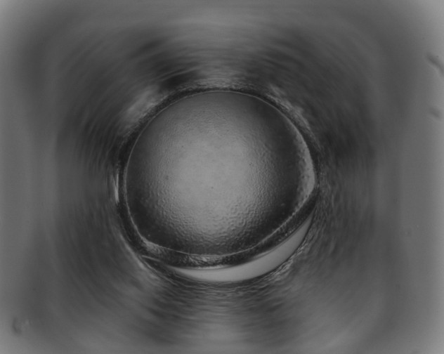 X0000091890062200709051351