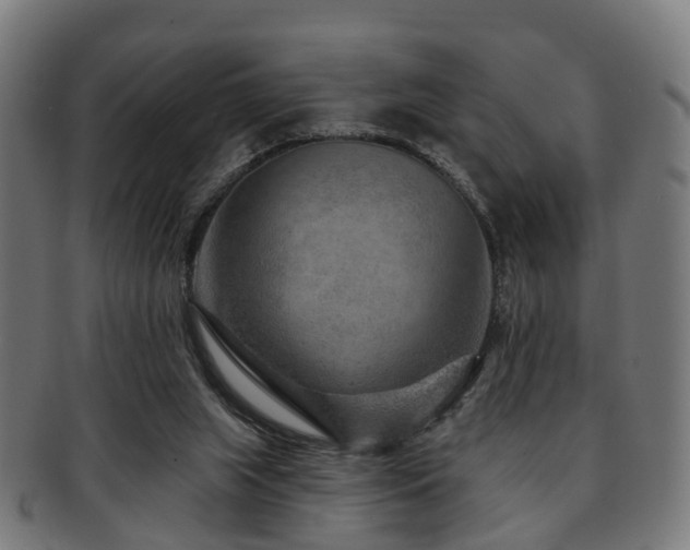 X0000091890063200709051351