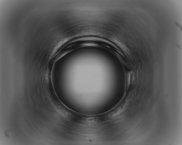 X0000091890064200709051351